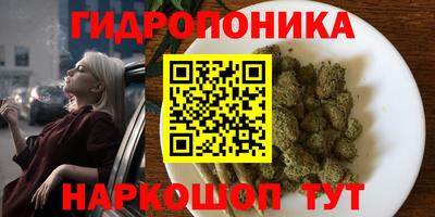 дмт Заволжье