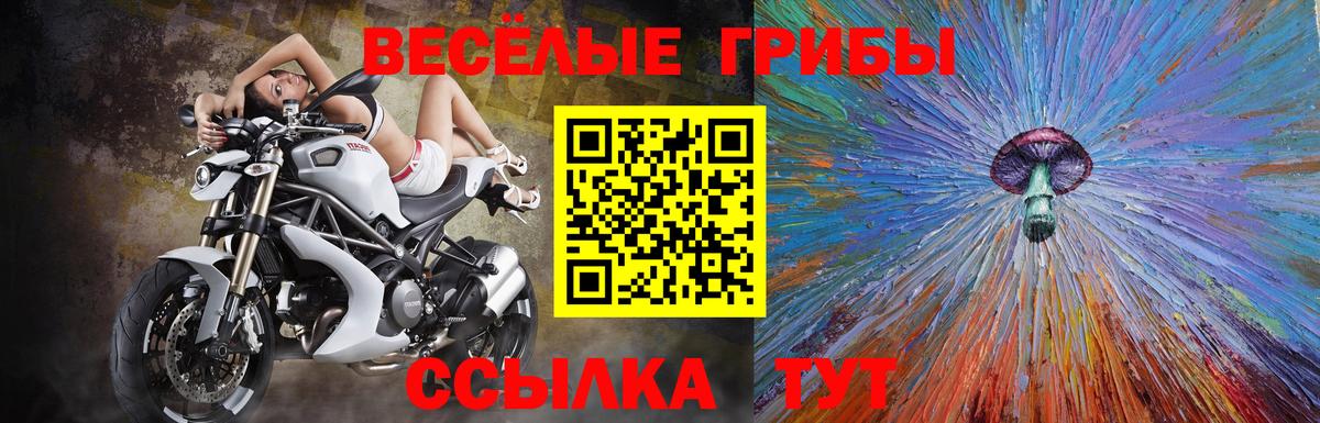 Псилоцибиновые грибы ЛСД Морозовск